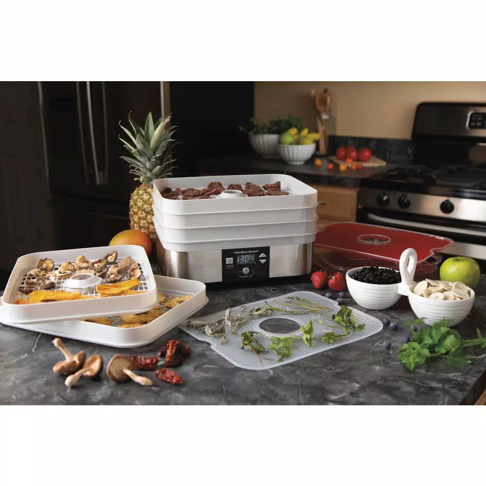 Brand new β¨ Hamilton Beach 5-Tray Grey Food Dehydrator Stackable Drying Trays π― - Image 7