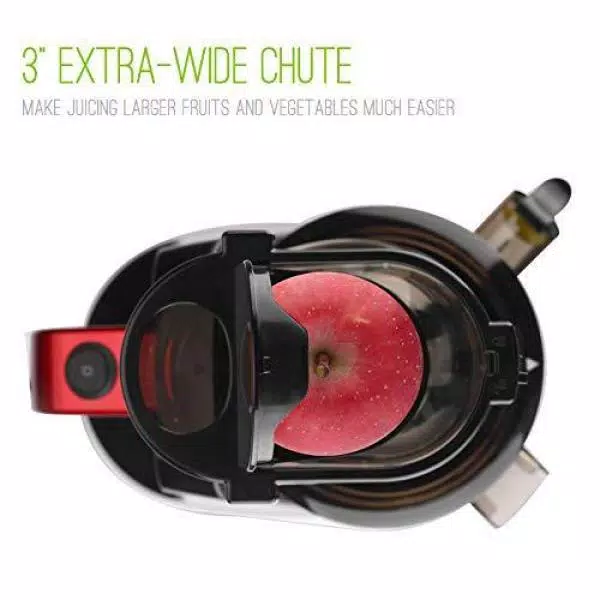 Brand new π€© Boyel Living Silver Slow Red Masticating Juicer Cold Press High Yield Vertical Juicer π - Image 3